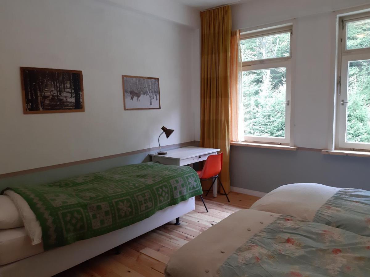 Das Okerhaus Vegetarische B&B Mit Halbpension Altenau  Buitenkant foto