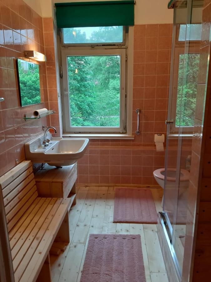Das Okerhaus Vegetarische B&B Mit Halbpension Altenau  Buitenkant foto